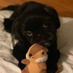 Nancy Chalker - @piper0136 - Instagram