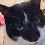 Nancy Chambers - @omalleysmommy - Instagram