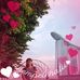 Nancy Chan - Facebook