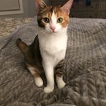 Nancy Chaney - @kameanbc - Instagram