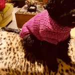 Nancy Chappell - @nancy.chappell.14 - Instagram