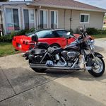 Nancy Chapple - @chapplenancy - Instagram