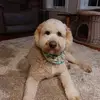 nancycharbonneau74 - @nancycharbonneau74 - TikTok