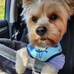 Nancy Charron - @charron8560 - Instagram