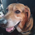 Nancy Cheatham - @jamiefrazier13 - Instagram