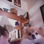 Nancy Cheatham - Facebook