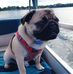 Nancy Cheney - Facebook