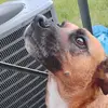 Nancy Childs - @nancy.childs6 - TikTok