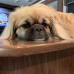 Nancy Childs Marling - @nan1751 - Instagram