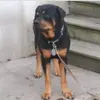 Nancy Chilson - @nancy.chilson - TikTok