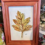 Nancie Crumley Chopp - Facebook