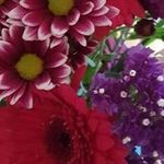 Nancy Christie - @nancy.christie.33 - Instagram