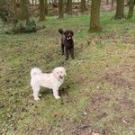 Nancy Christie - @nancychristie80 - Instagram