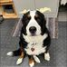Nanc Christopherson - Facebook