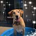 Nancy Christopherson - Facebook