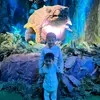 Nancy CM - @nancycid68 - TikTok