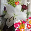 Violeta Nancy Cintor - @violetanancycintoramart1 - TikTok