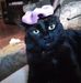 Nancy Clarkson - Facebook