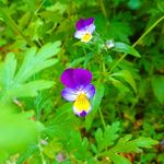 Nancy Clarkson - @nancyclarkson637 - Instagram