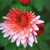 nancylclarkson15638 - @nancylclarkson15638 - TikTok
