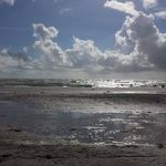 Nancy Alexander Claycomb - @claycombn - Instagram