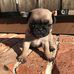 Nancy Passmore - Facebook