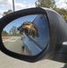 Nancy Southwell - Facebook