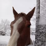 Nancy Clemence - Facebook