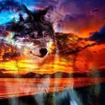 Nancy Clendenin - Facebook