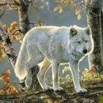 Nancy Clendenin - Facebook