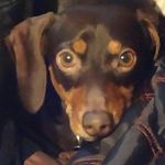 Nancy Lynn Clift - @nancy_clift - Instagram