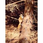 Nancy Cloninger - @cloninger368 - Instagram