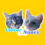 Nancy & Clover - @nancyandclover - Instagram