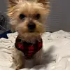 Nancy - @nancycoen - TikTok