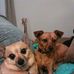 Nancy Coates - Facebook