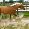 Nancy Coble - @nancycoble7 - TikTok