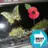 nancycoble - @nancycoble - TikTok