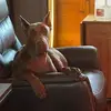 nancycoblerfoster - @nancycoblerfoster - TikTok