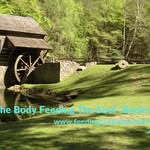 Nancy Cohen - @feedingthebodyfeedingthesoulll - Instagram