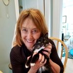 Nancy Cohen - @nancycohen941 - Instagram