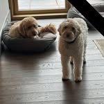Nancy Gold Cohen - @nancy_cohen - Instagram