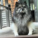 Nancy Colburn - @nancycol - Instagram