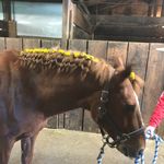 Nancy Hafften Colburn-Jimmy - @colburnjimmy - Instagram
