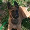 Nancy coll - @nancy.coll02 - TikTok