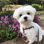 Nancy Collard - @collard5041 - Instagram