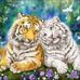Nancy Collard - Facebook