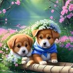 Nancy Collard - @nancy125718 - Instagram