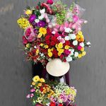 Nancy Collard Nury - @nancy.collardnury - Instagram