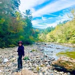Nancy Collum - @njcollumyoga - Instagram
