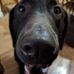 Nancy Lee-Colquhoun - Facebook